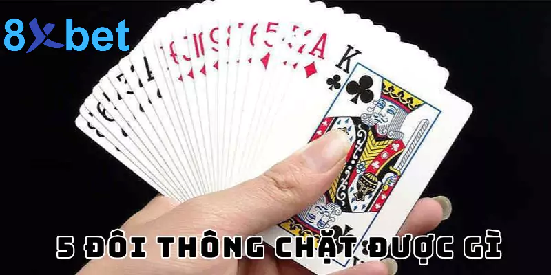 5 đôi thông chặt được gì? Giải mã sức mạnh của 5 đôi thông