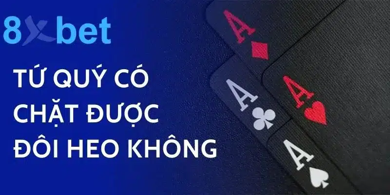 Tứ Quý Có Chặt Được Đôi Heo Không? Trả Lời Thắc Mắc Trong Tiến Lên